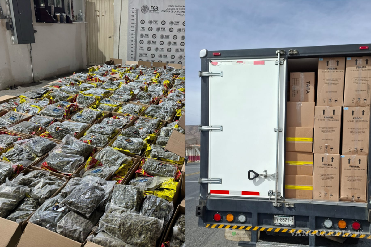 Detienen en carretera Saltillo-Zacatecas camión repleto de cannabis