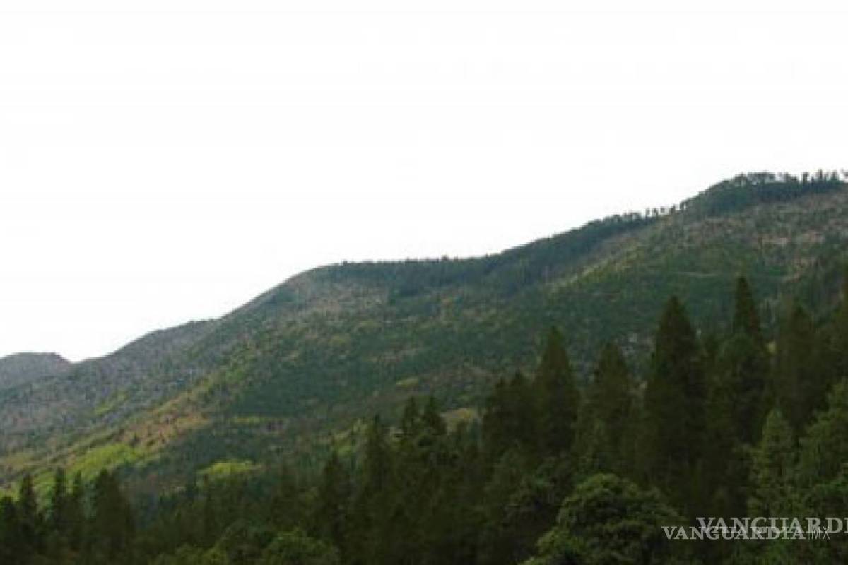 $!También aclaró que estos escurrimientos naturales de aquel ejido atraviesan kilómetros hasta llegar a Las Trancas en Rayones, Nuevo León.