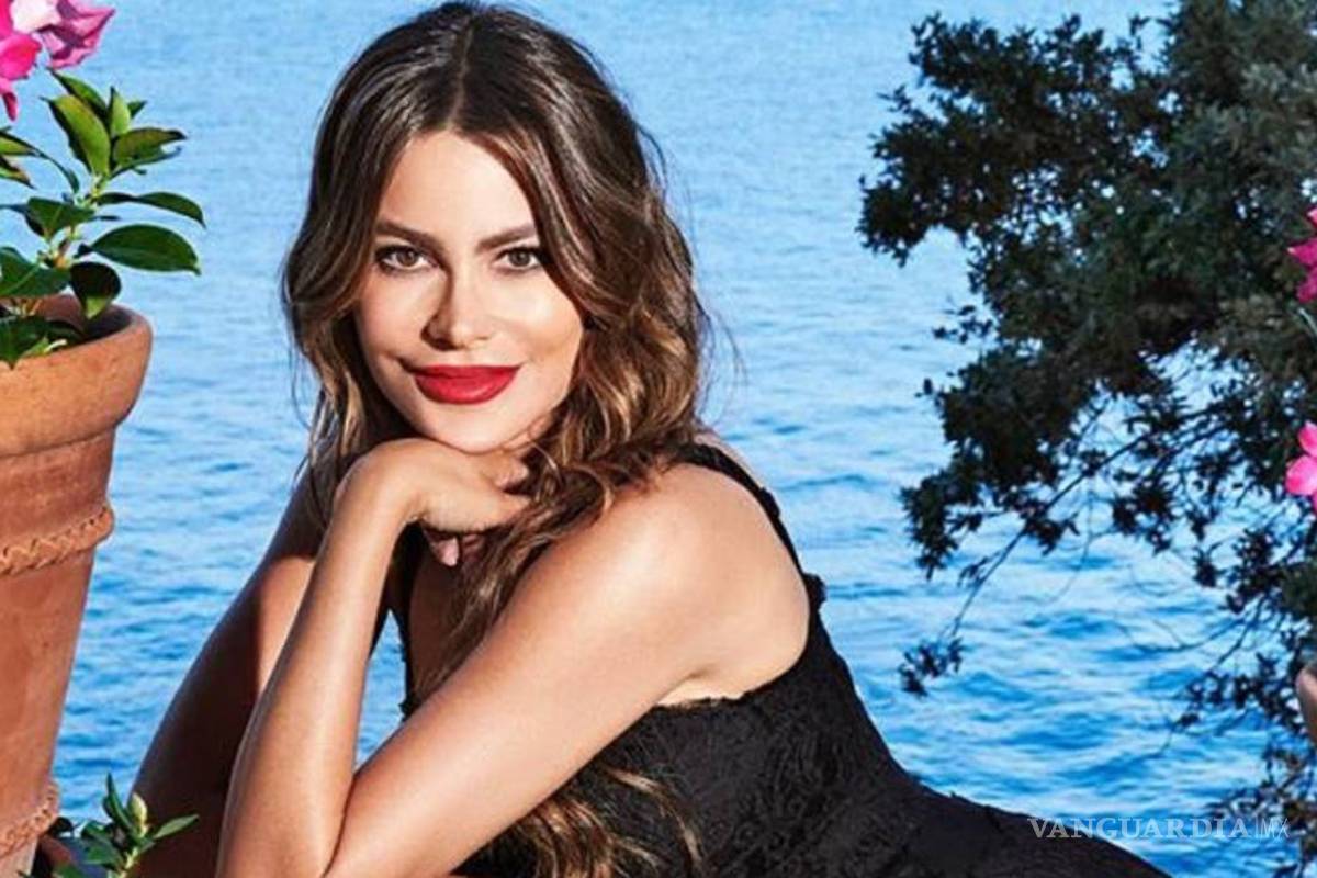 Sofía Vergara gana batalla legal, su exprometido no puede usar sus embriones sin su autorización