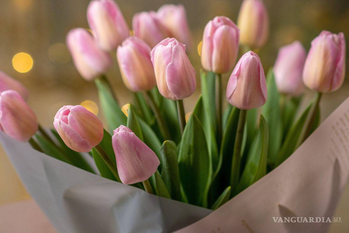 $!Ramo de tulipanes.