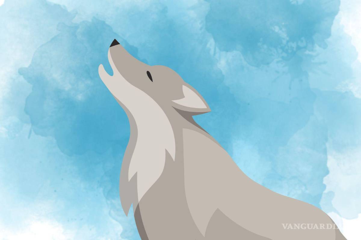 El “dire wolf” vuelve a nacer y el autonombrado hombre “alfa” decide aullar sin pensar antes.