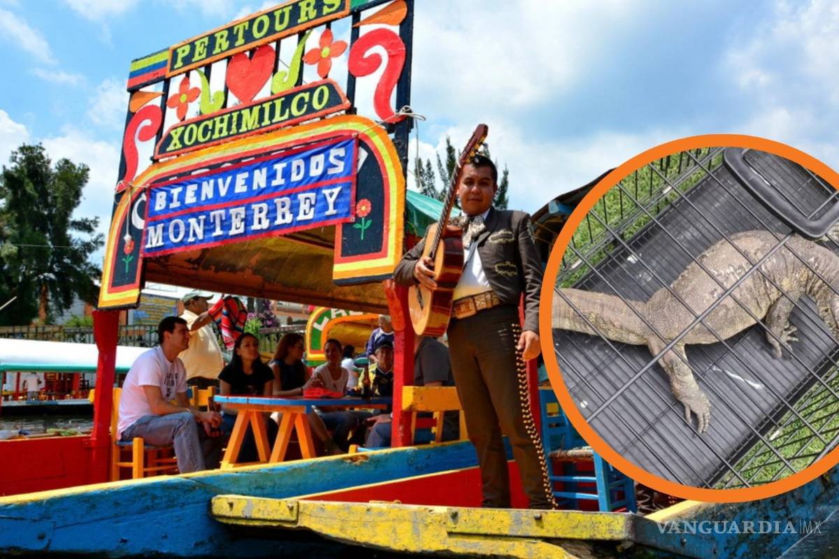 ¿Qué especie de reptil fue rescatado en Xochimilco?, alarmó a los vecinos y turistas
