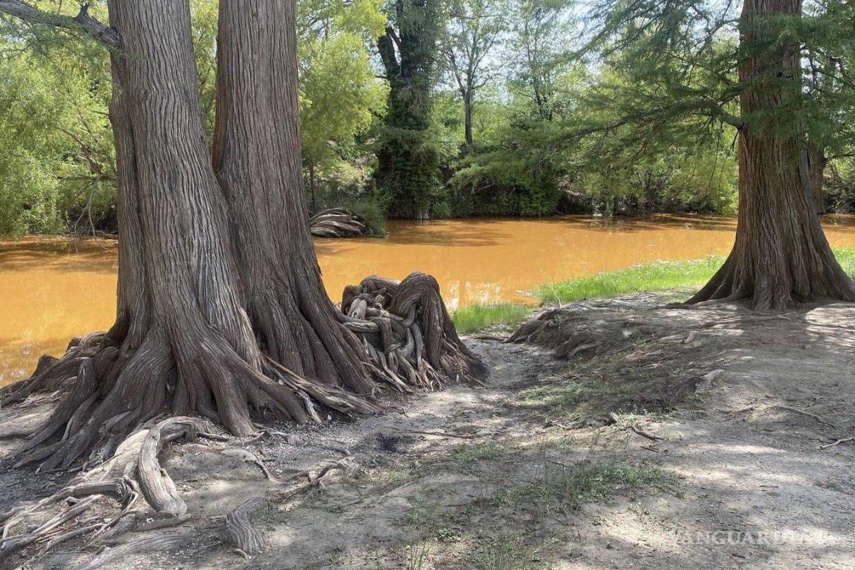 Por extracción de agua de ‘El Pinabete’ se contamina el Río Sabinas