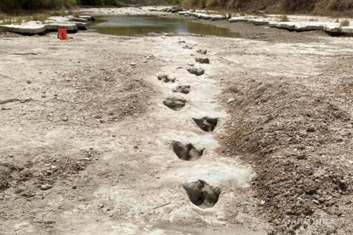 Huellas de dinosaurios fueron descubiertas tras sequía en un río de Texas