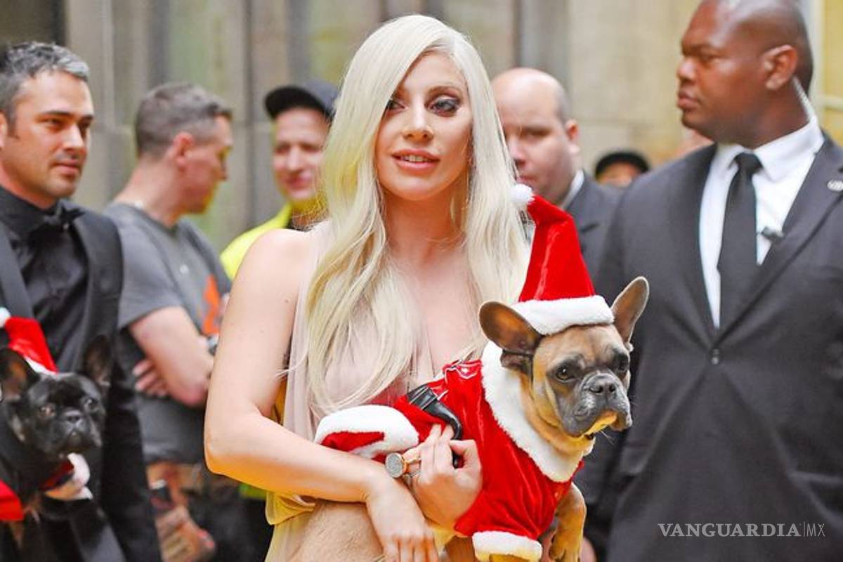 Filtran video en el que paseador de perros de Lady Gaga es baleado