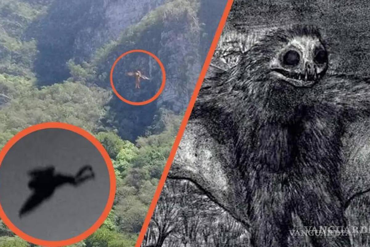 ¿Qué es el Hombre Pájaro?... la misteriosa criatura que presagia catástrofes... aquí un escalofriante relato