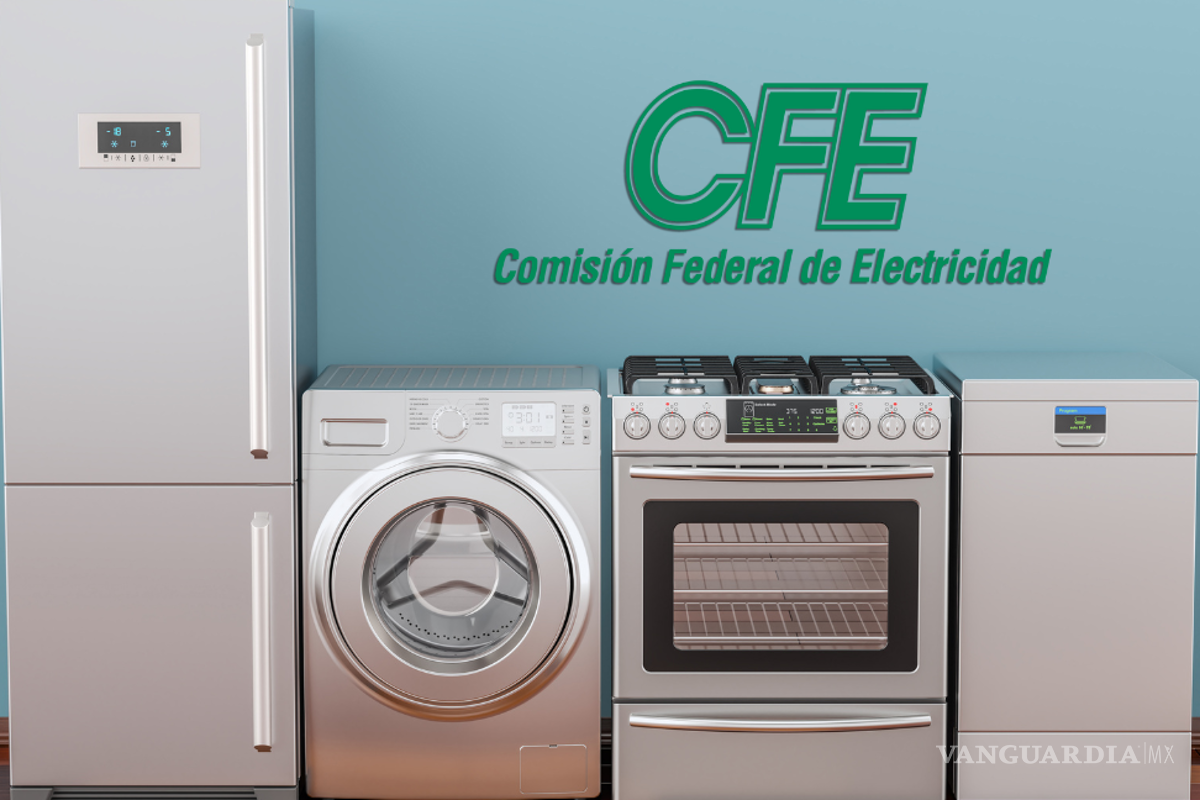CFE renueva tus electrodomésticos en 2025: Así puedes registrarte al programa para cambiar tu refri y lavadora