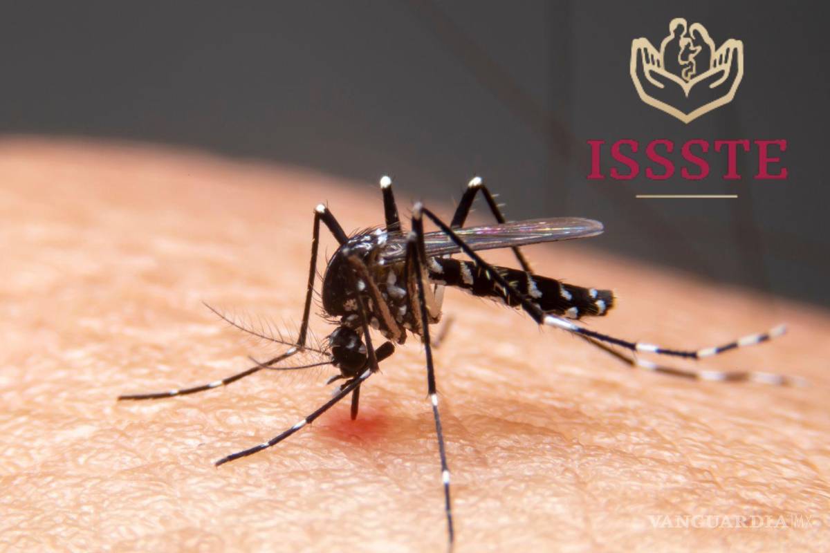 Emite Issste recomendaciones para fortalecer las medidas preventivas contra el dengue