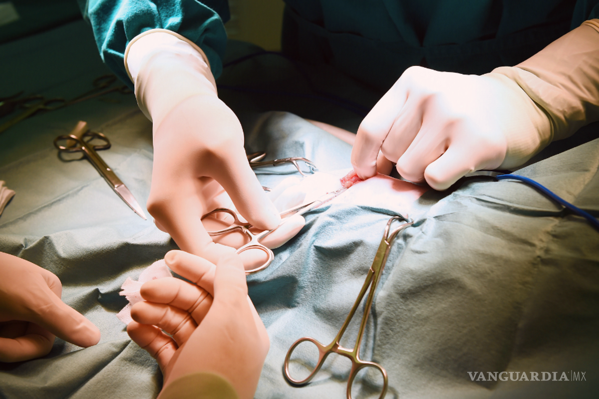 Proponen La Ley Nicole para prohibir las cirugías estéticas en menores de edad