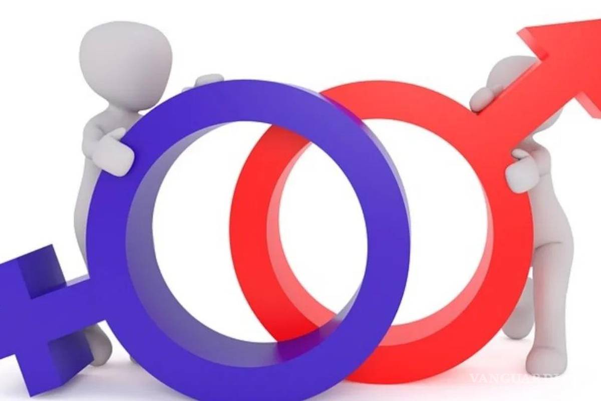 Perderán registro las candidaturas que no cumplan requisitos contra violencia de género, advierte el INE