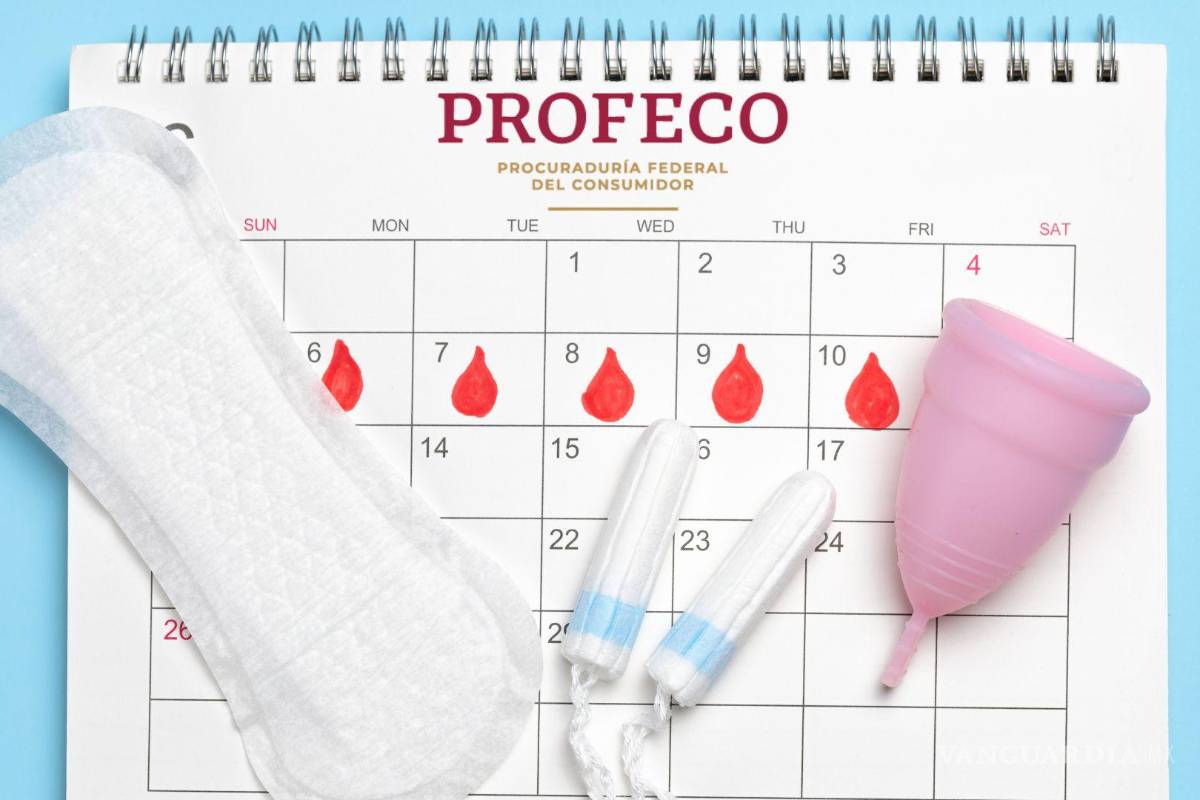 ¡No contamines! Profeco recomienda alternativas ecológicas a las toallas sanitarias