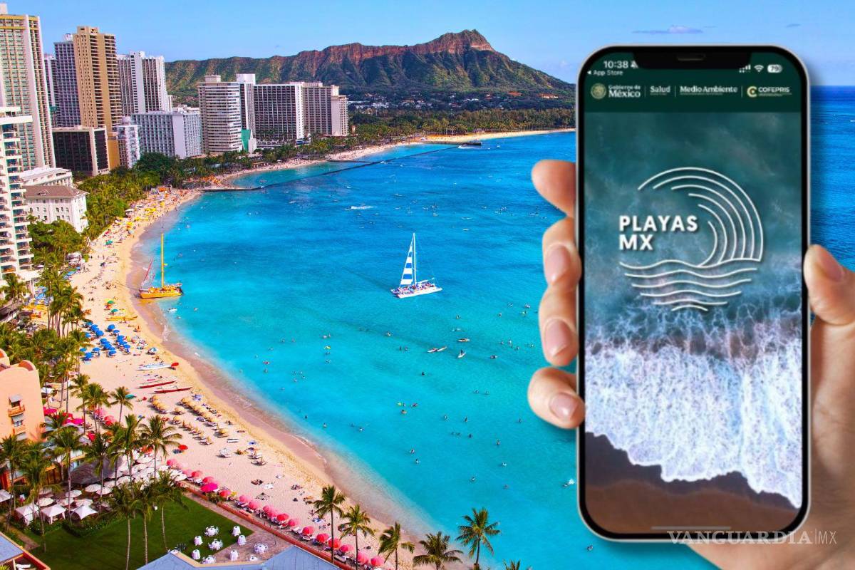 ¿Cómo funciona Playas MX, la app de Cofepris que dice si es seguro nadar en las costas de México?