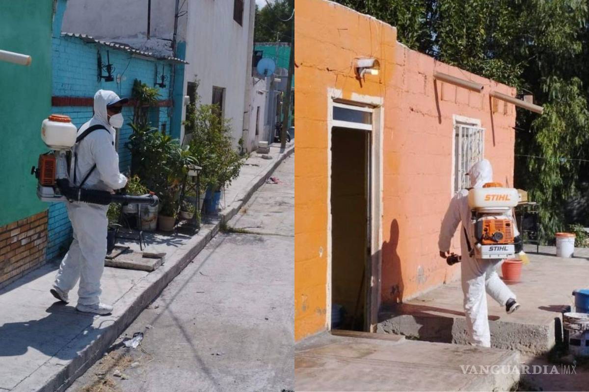 No dejes que te pique: exhorta Municipio de Saltillo a seguir medidas preventivas contra el dengue