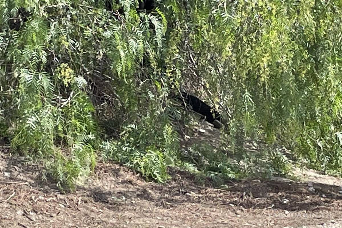 Saltillo: día de campo termina en tragedia; familia acude a rezar y niños encuentran a mujer sin vida