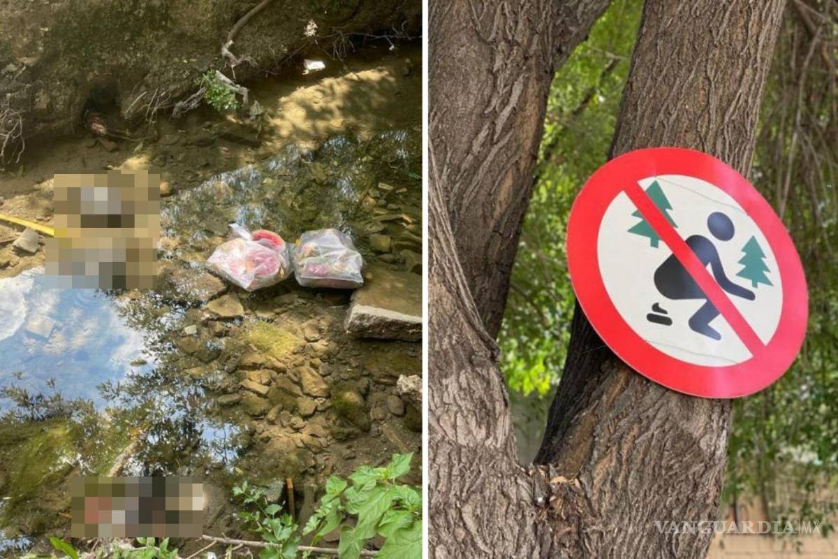 Usan arroyo Urdiñola en Saltillo para desechar brujería y animales muertos, además de basura