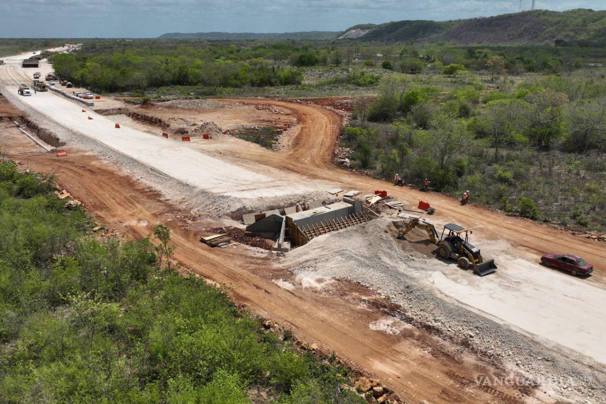 AMLO decreta la “ocupación temporal inmediata” de predios privados para Tramo 5 del Tren Maya