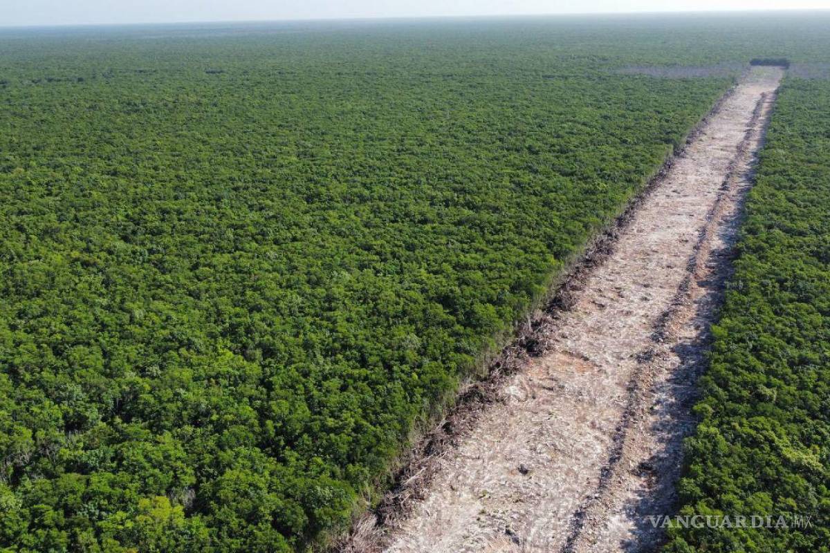 México: Un país privilegiado, pero sin conciencia de sus riquezas naturales