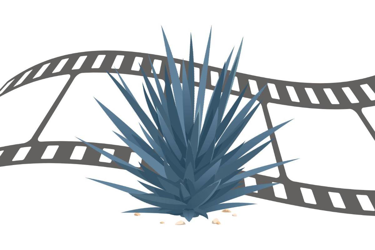 40 años del FICG... y contando