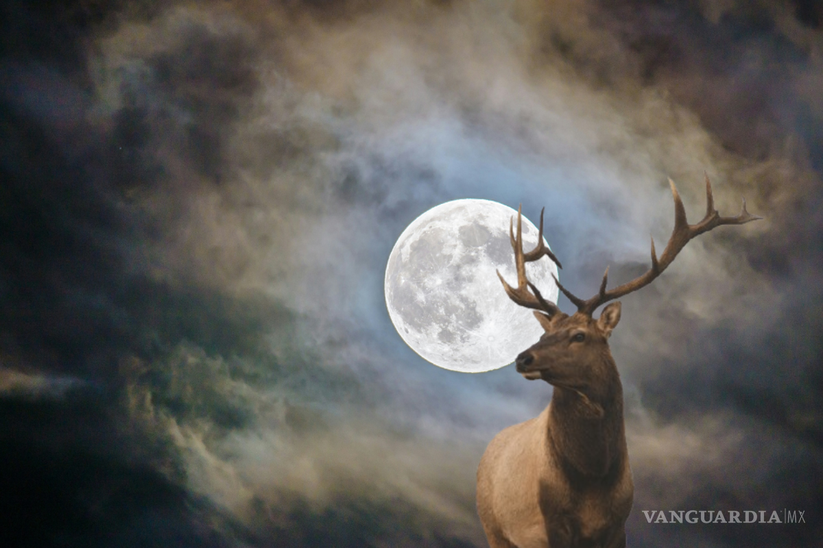 Luna de Ciervo 2025: Cuándo y cómo ver la Luna llena de julio desde México