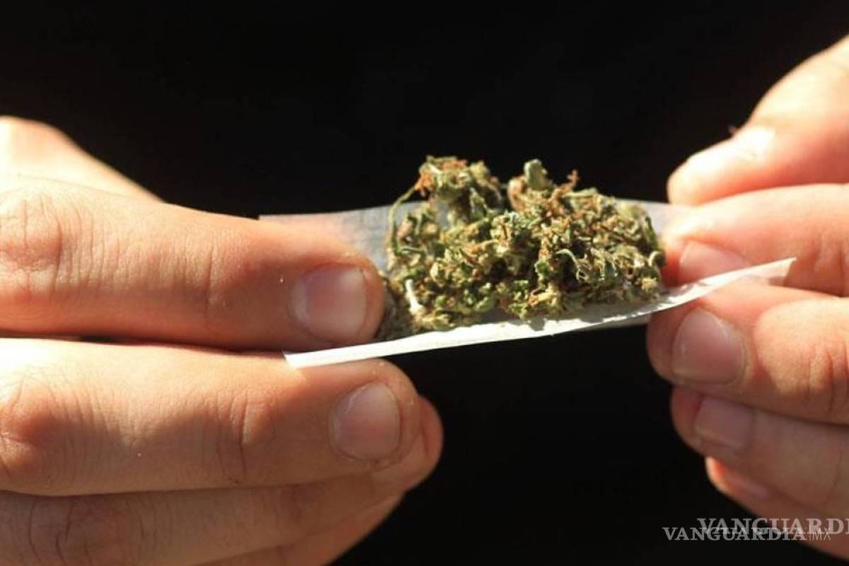Coahuila: pese al alza del cristal, mariguana sigue siendo la droga de mayor impacto