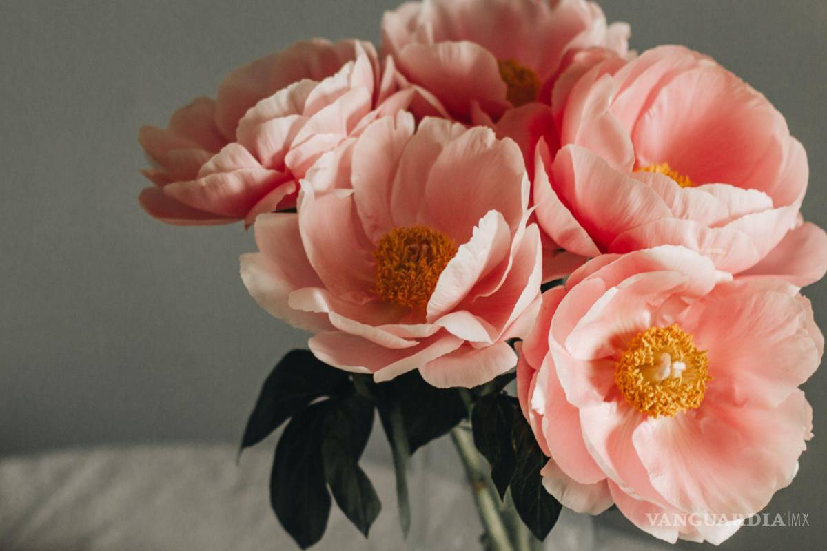 $!Ramo de peonías.