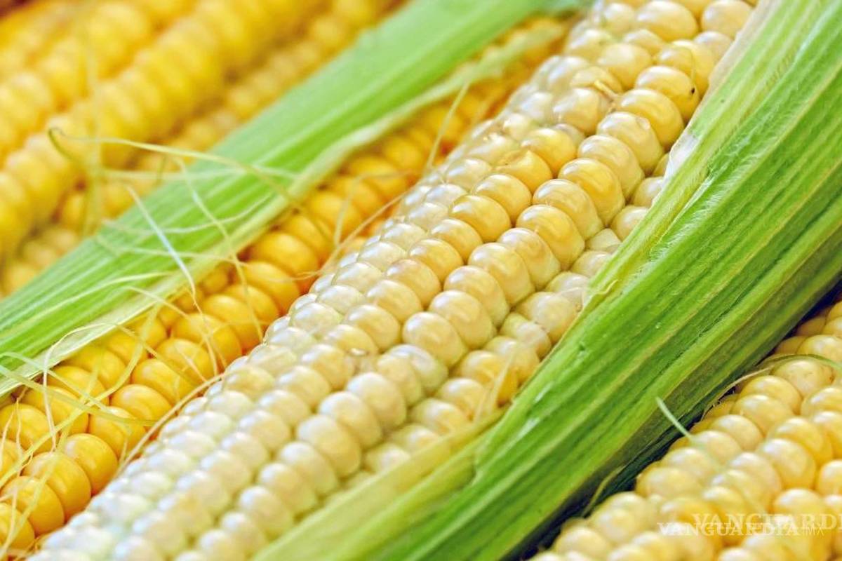 Comercio y economía, con varios retos para México en el 2024