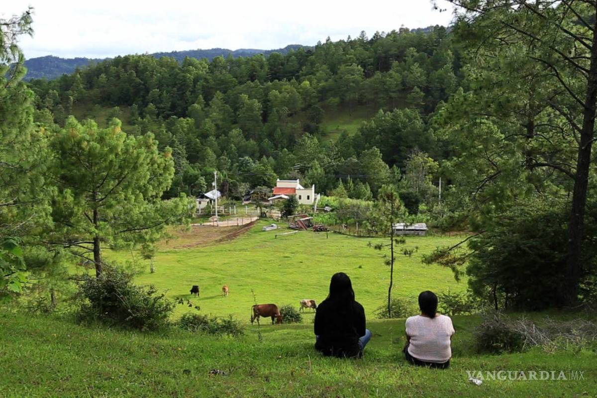 'Tote_abuelo', un viaje documental de amor en tsotsil