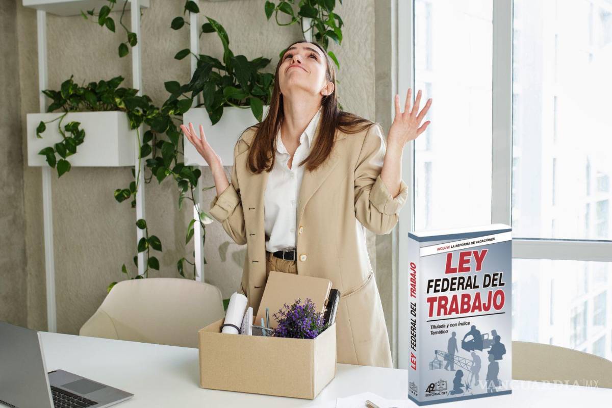 ¿Mientes en tu CV?; 5 motivos por los que pueden despedirte sin liquidación según la LFT