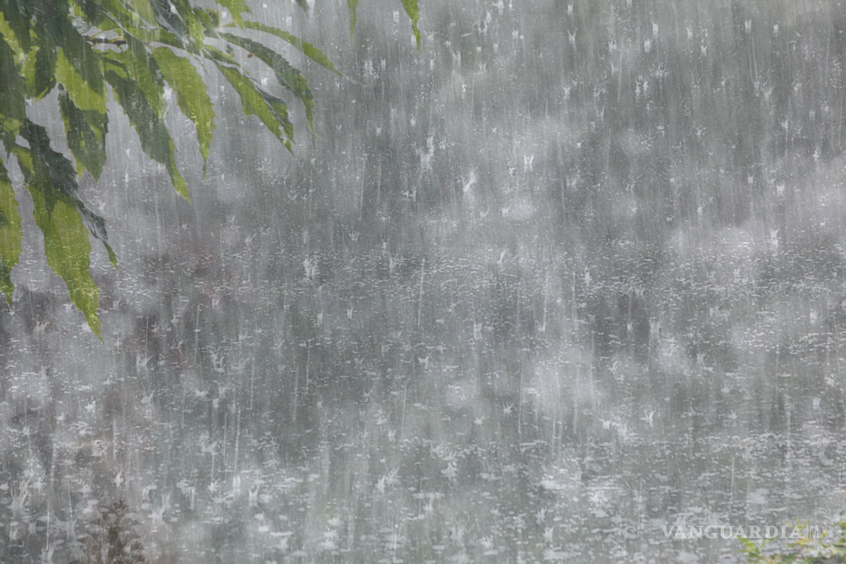 ¿Lluvias torrenciales e inundaciones? Llegó el Monzón mexicano