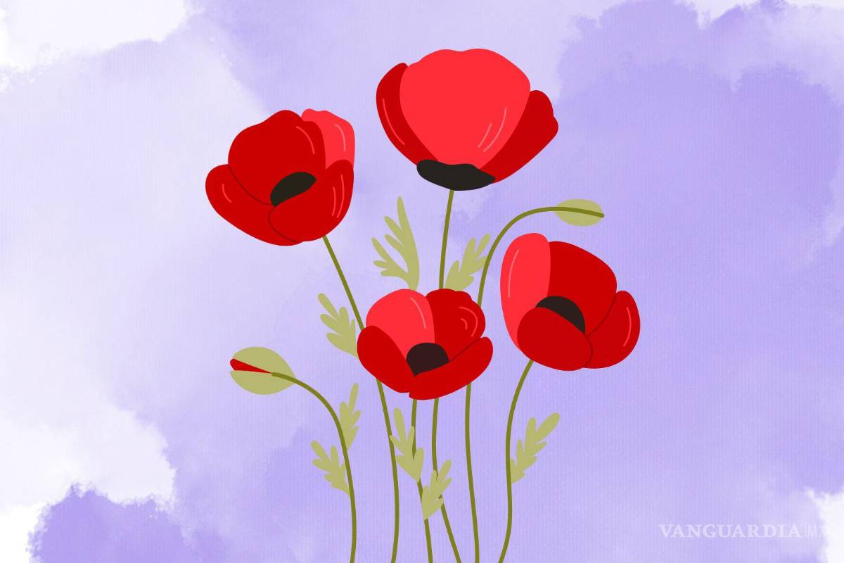 Mi proyecto soy yo y mi vida será como yo la voy diseñando. Tú, ¿cómo quieres colocarte como el centro de tu vida?