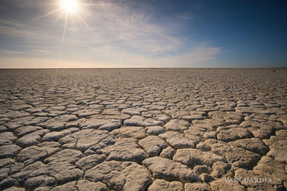 ¿Por qué las temperaturas en México son cada vez más extremas?