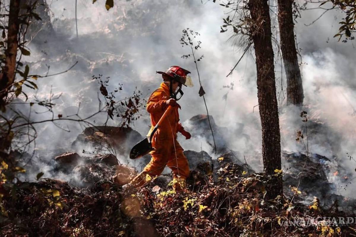 Incendios en Arteaga no afectaron reservación de cabañas en la sierra