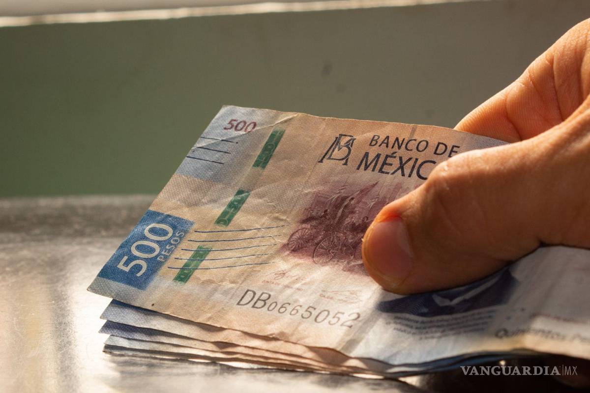 ¡Cuidado, Saltillo! Yox Holding, el nuevo fraude estilo piramidal, señala economista