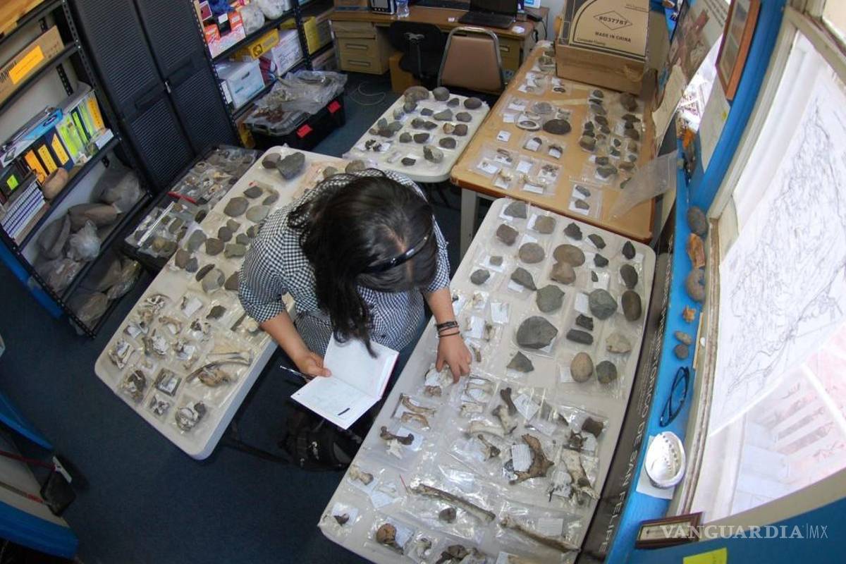 Durante gobierno de AMLO se han repatriado más de 5 mil bienes