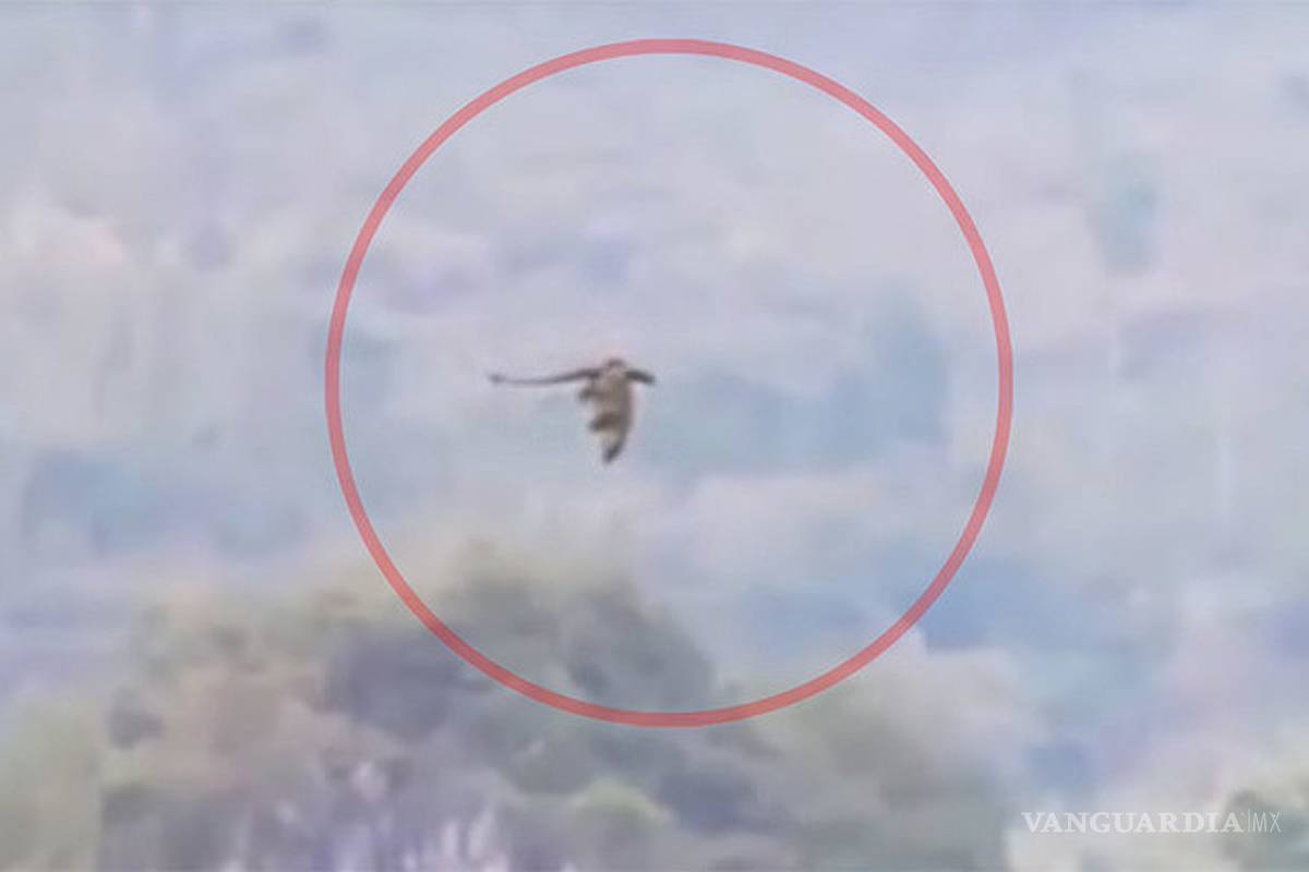 Captan supuesto dragón volando en China