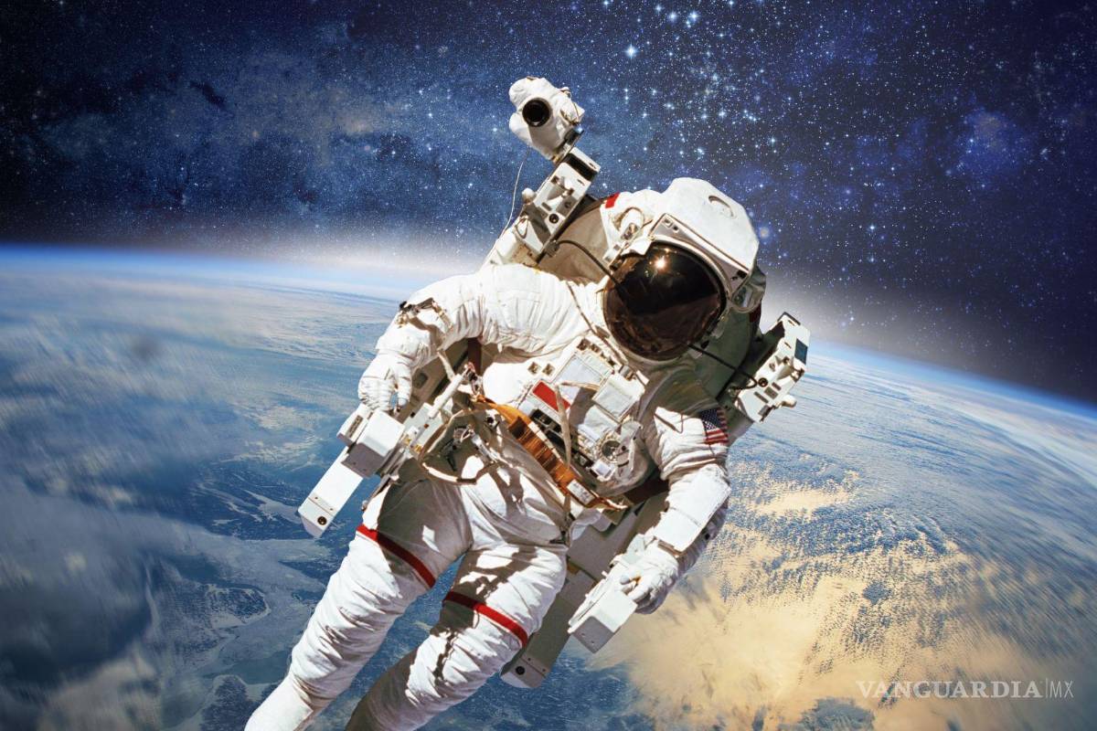 Ciencia, estrellas y gastronomía: descubre los secretos de la alimentación en el espacio en el Mude