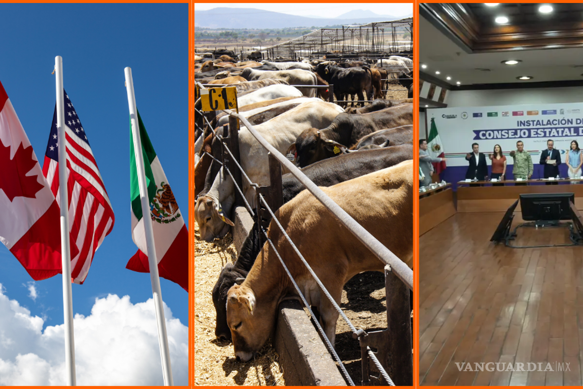 Las noticias más importantes del 5 de agosto en México