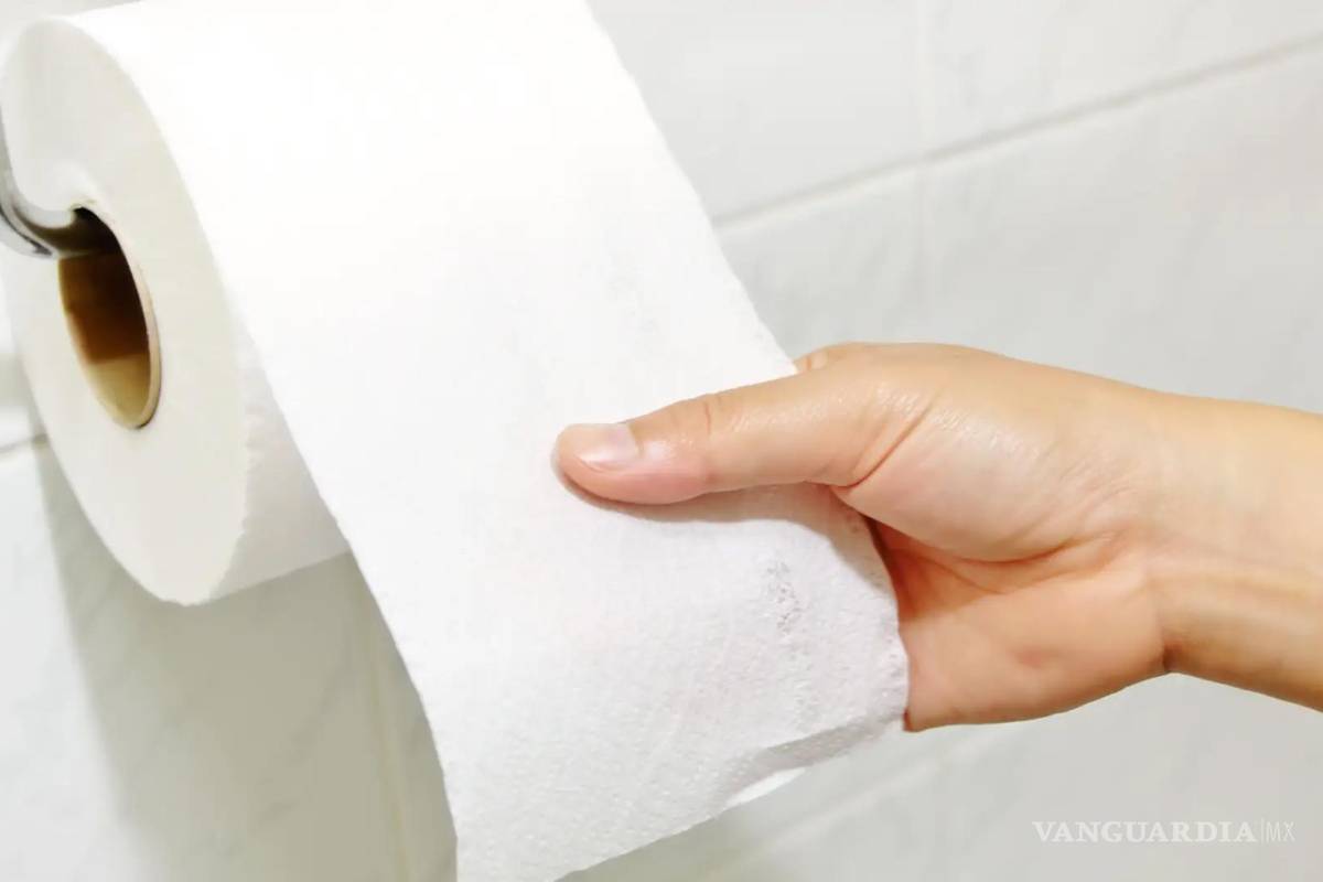 ¿Pétalo, Regio o Delsey?... según Profeco, cuál es el papel de baño más ‘chafa’ y el más resistente
