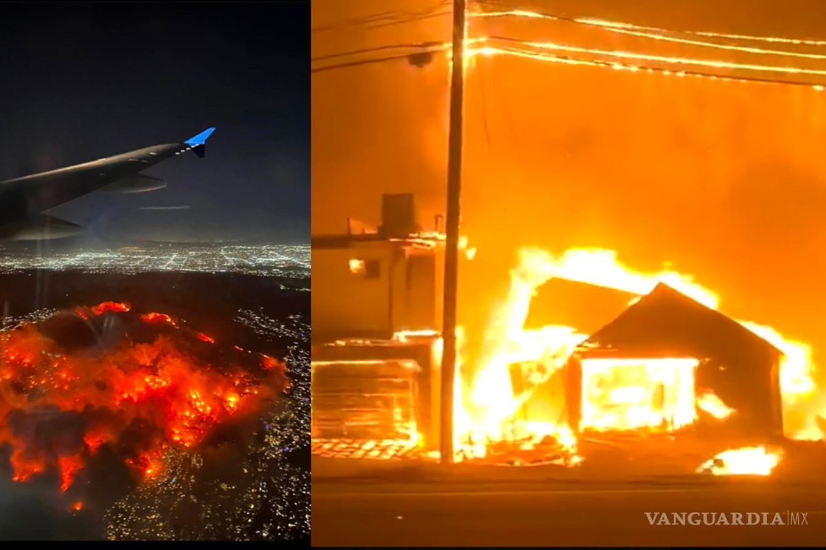 ¡De terror! Videos muestran el daño devastador que ha sufrido Los Ángeles debido a múltiples incendios forestales