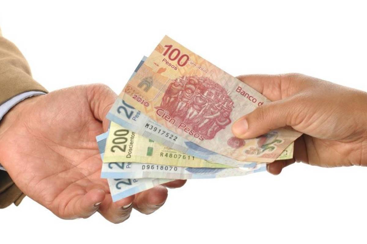 Estos son los trámites, multas y servicios que subirán con el incremento de UMA