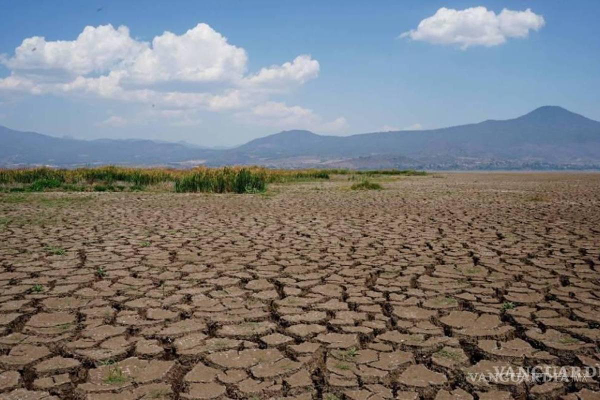 Impacta la sequía a 76% de México