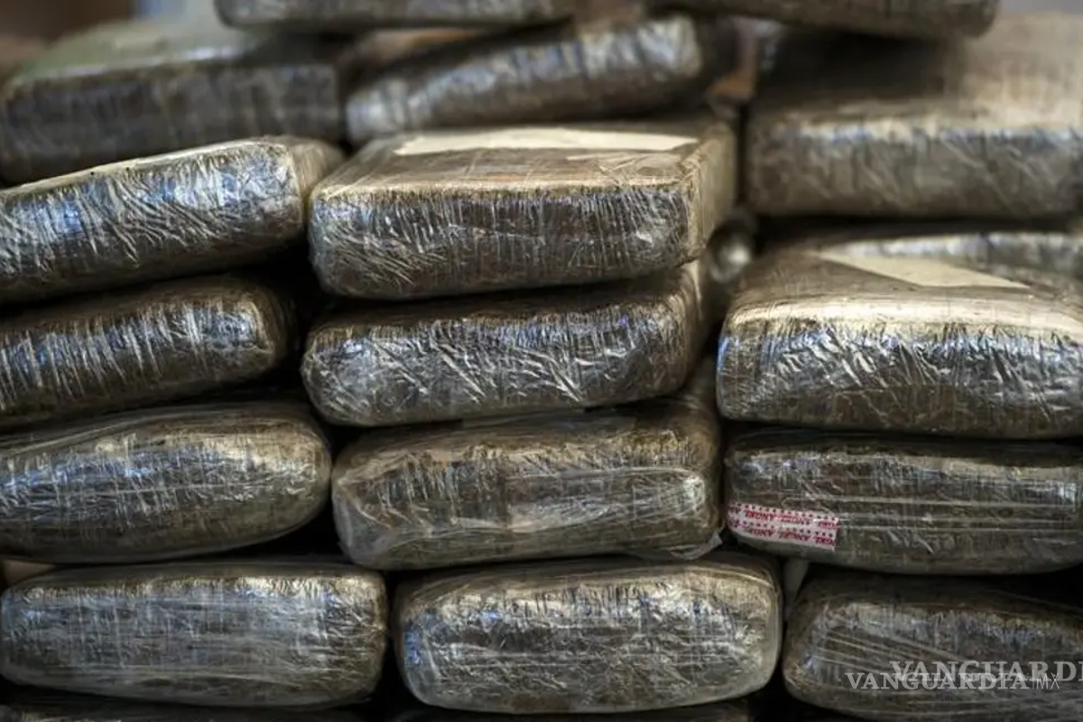 Decomisan en marzo tres veces más mariguana en Coahuila que durante todo el 2024