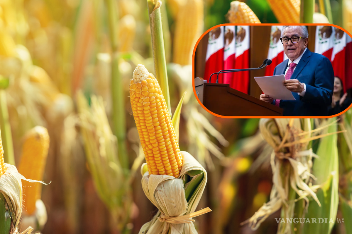 Gobierno de Sinaloa y productores logran acuerdo sobre precio de maíz