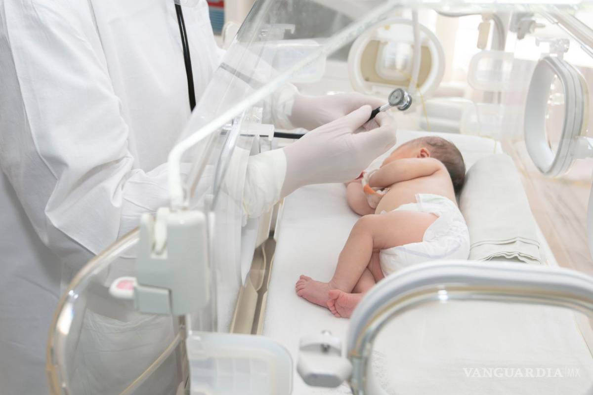 Coahuila: hospitales públicos carecen de equipo para atender bebés prematuros, asevera senadora