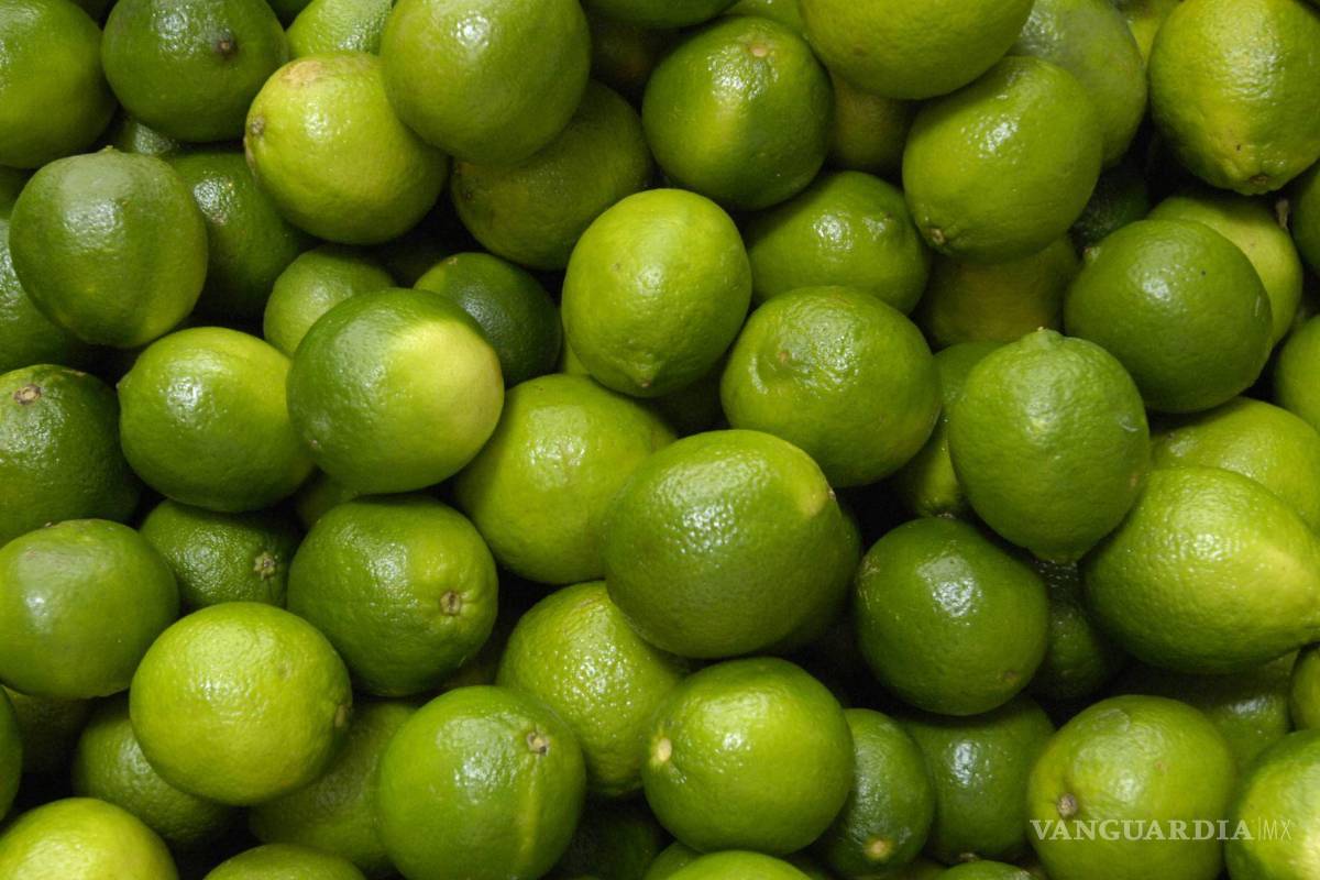 Aumenta el precio del limón en Comarca Lagunera de Coahuila; caja se comercializa en 600 pesos