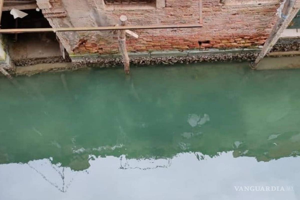 $!Venecia respira; el agua de sus canales se aclara por aislamiento de Coronavirus