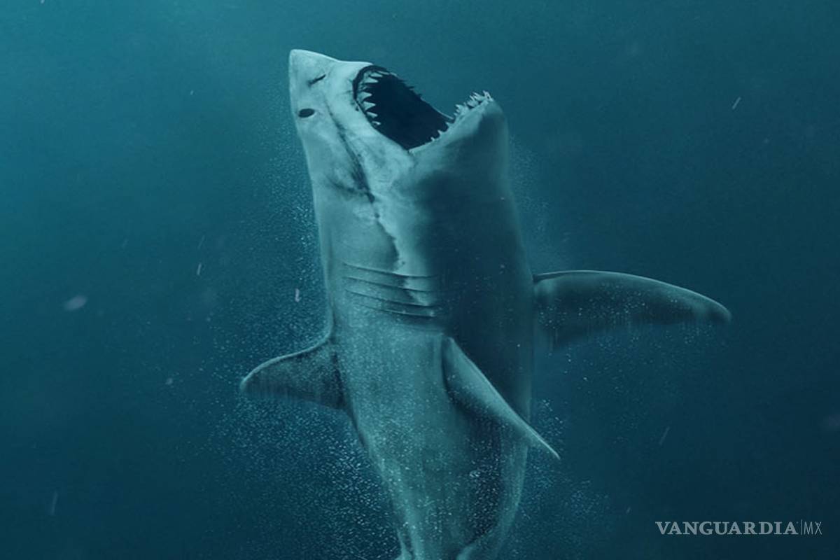 ‘Megalodón’, demasiado buena para ser buena