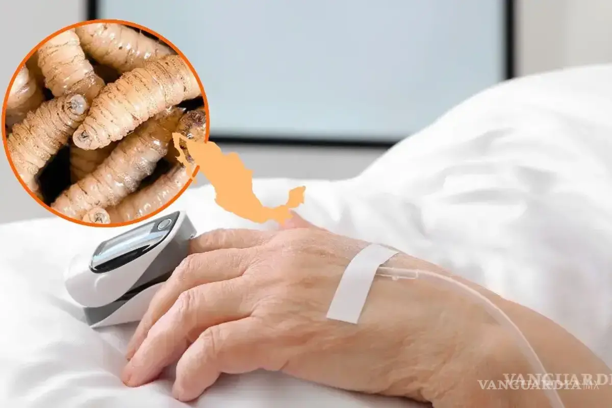 Confirman en México segundo caso de gusano barrenador en un humano