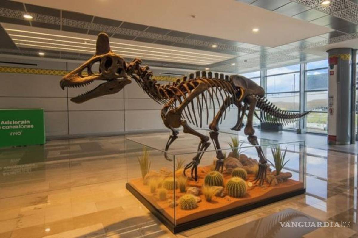 $!De acuerdo con el render, la tienda de regalos estaría acompañada por exhibiciones temáticas que buscan proyectar la identidad del museo y su vínculo con la ciencia y la divulgación.