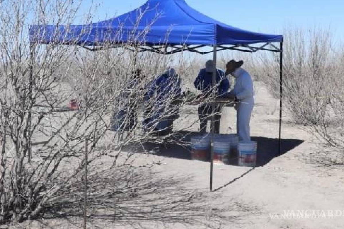 A siete años de encontrar enorme fosa clandestina, siguen hallando restos óseos en Patrocinio, en la Laguna